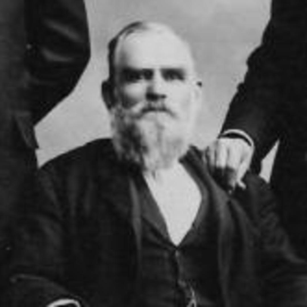 Calvin Clinton Wilson (1842 - 1913) Profile